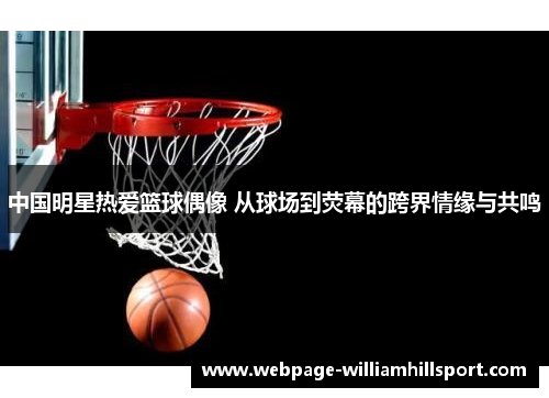 中国明星热爱篮球偶像 从球场到荧幕的跨界情缘与共鸣