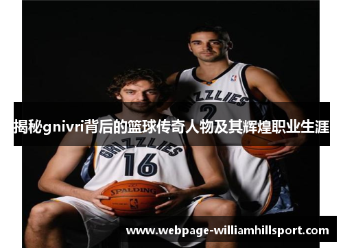 揭秘gnivri背后的篮球传奇人物及其辉煌职业生涯