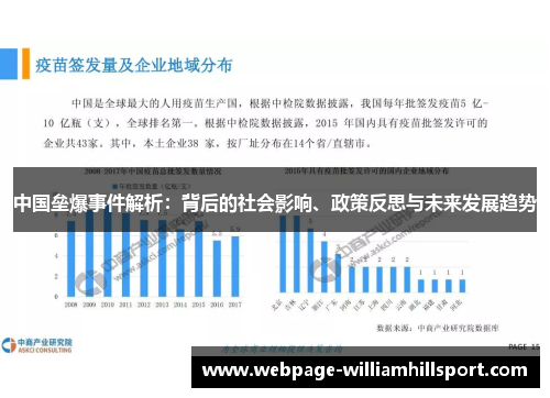 中国垒爆事件解析：背后的社会影响、政策反思与未来发展趋势